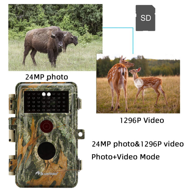 4-Pack No Glow Game & Trail Cams Deer Hunting Cameras 24MP 1296P Video Night Vision Motion Activated Time Lapse | A252